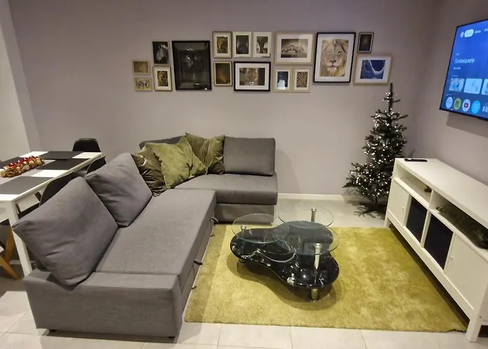 Entire House With Arcade Machine In A Private Backyard, 3 Bedrooms, 1 Bathroom, 1 Leaving Room With Convertible Sofa And Open Kitchen