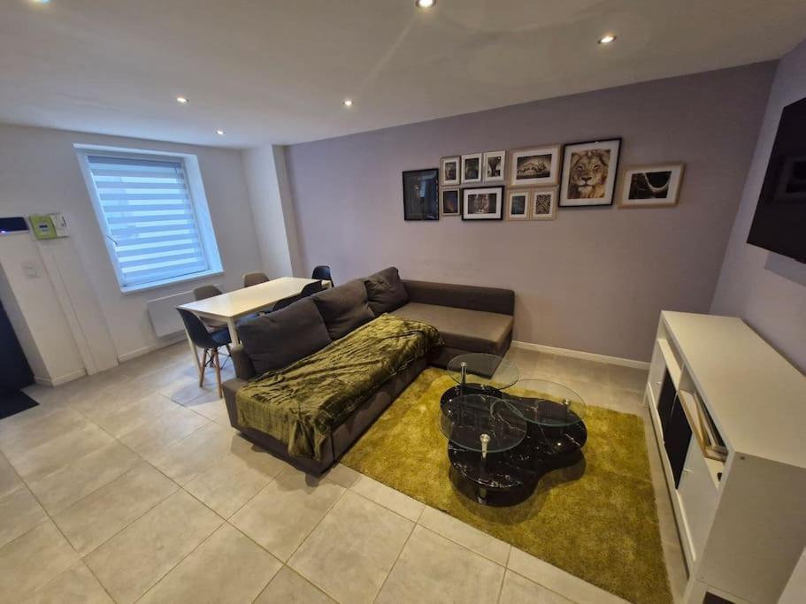 Entire House With Arcade Machine In A Private Backyard, 3 Bedrooms, 1 Bathroom, 1 Leaving With Convertible Sofa And Open Kitchen *