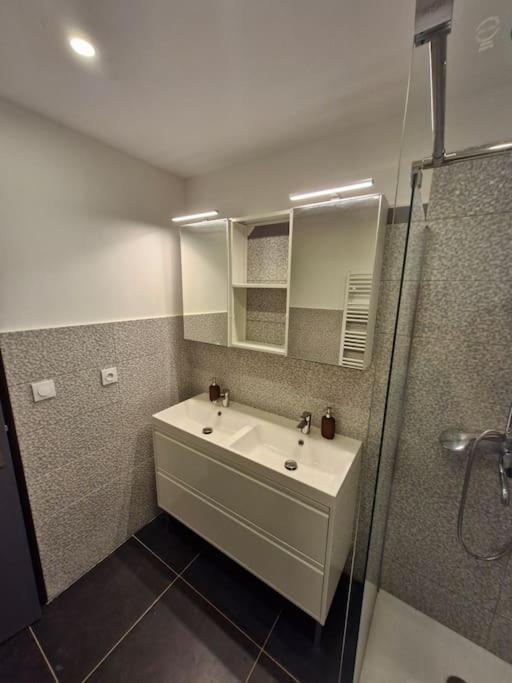 Apartment Entire House With Arcade Machine In A Private Backyard, 3 Bedrooms, 1 Bathroom, 1 Leaving With Convertible Sofa And Open Kitchen